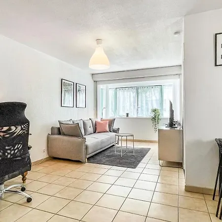 Apartment Homey Cycy - New / Free Parking / Hyper-centre / Proche Geneve Annemasse